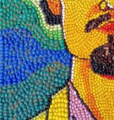 Za veći prikaz kliknite na sliku!