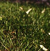 Za veći prikaz kliknite na sliku!