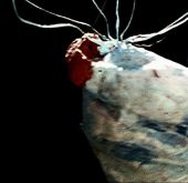 Za veći prikaz kliknite na sliku!