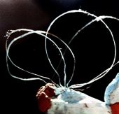 Za veći prikaz kliknite na sliku!