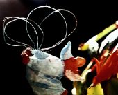 Za veći prikaz kliknite na sliku!