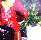 Za veći prikaz kliknite na sliku!