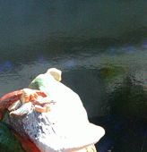 Za veći prikaz kliknite na sliku!