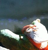 Za veći prikaz kliknite na sliku!