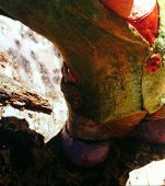 Za veći prikaz kliknite na sliku!