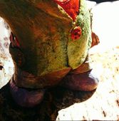 Za veći prikaz kliknite na sliku!