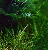 Za veći prikaz kliknite na sliku!