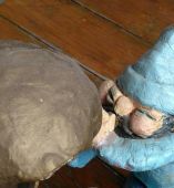 Za veći prikaz kliknite na sliku!