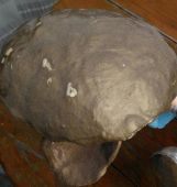 Za veći prikaz kliknite na sliku!